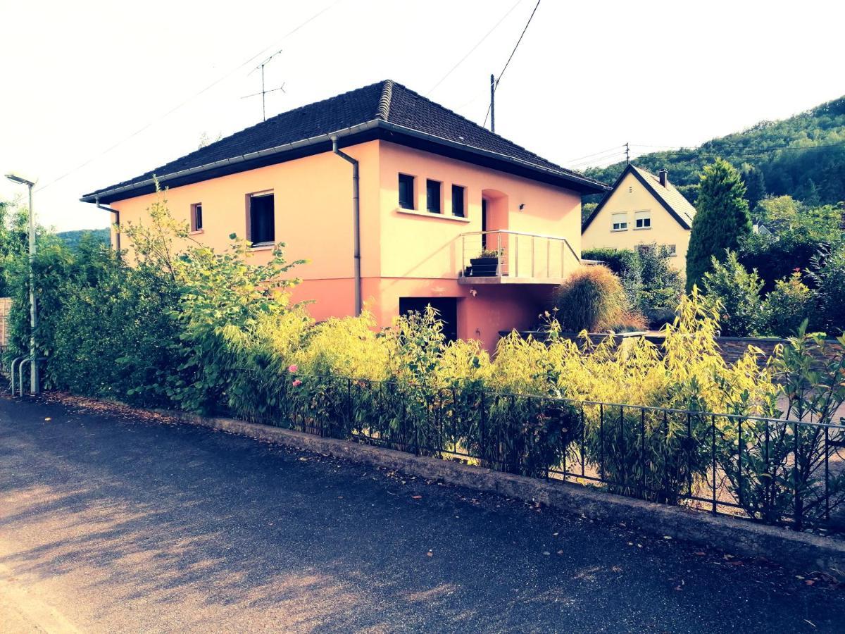 Ferienwohnung Le Ptit Lou Kaysersberg-Vignoble Exterior foto